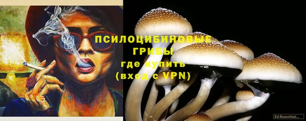 прущие крисы Краснослободск