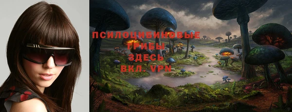 прущие крисы Краснослободск