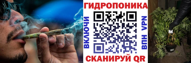 Шишки марихуана семена  Купить  Зея 